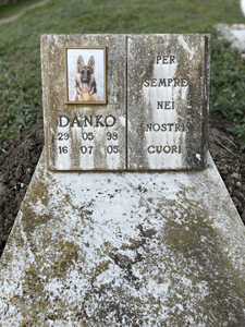 Danko